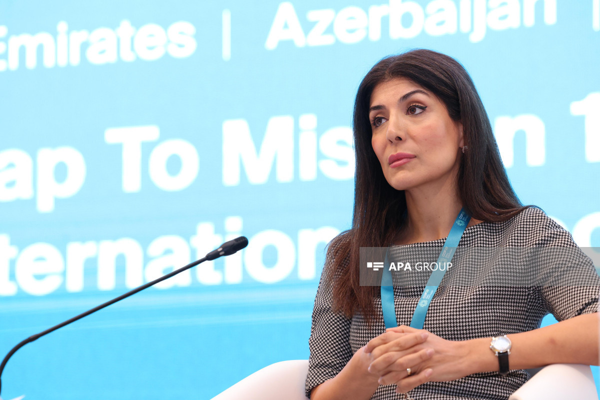 Nigar Arpadarai: Biz özəl sektoru COP29-a cəlb etmək istəyirik