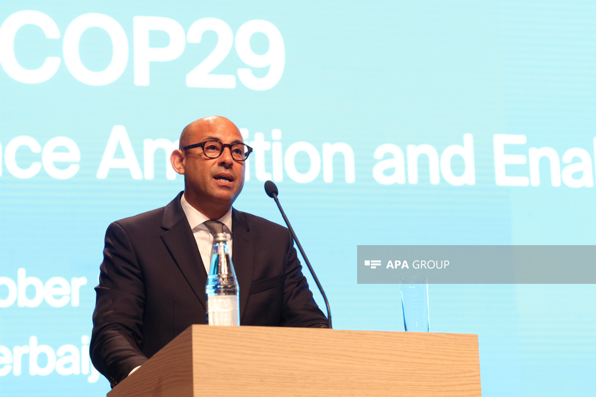 Saymon Stil: COP29 bizə Paris Sazişinin 6-cı maddəsini həyata keçirmək imkanı yaradır
