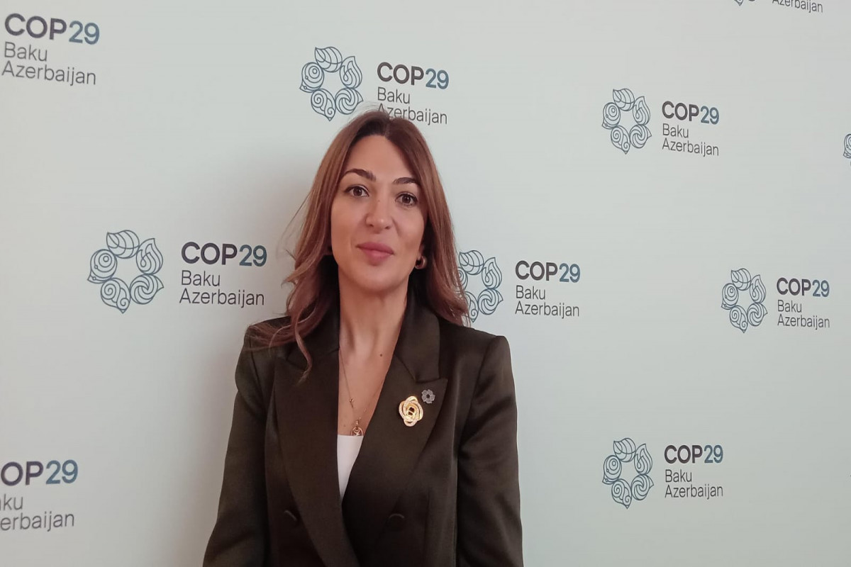 COP29-da iştirak üçün 3 minə yaxın jurnalist qeydiyyatdan keçib