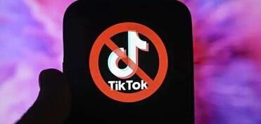 Fransada TikTok qadağan edilə bilər