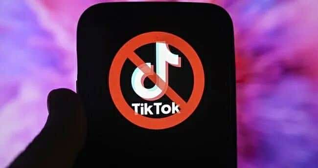 Fransada TikTok qadağan edilə bilər