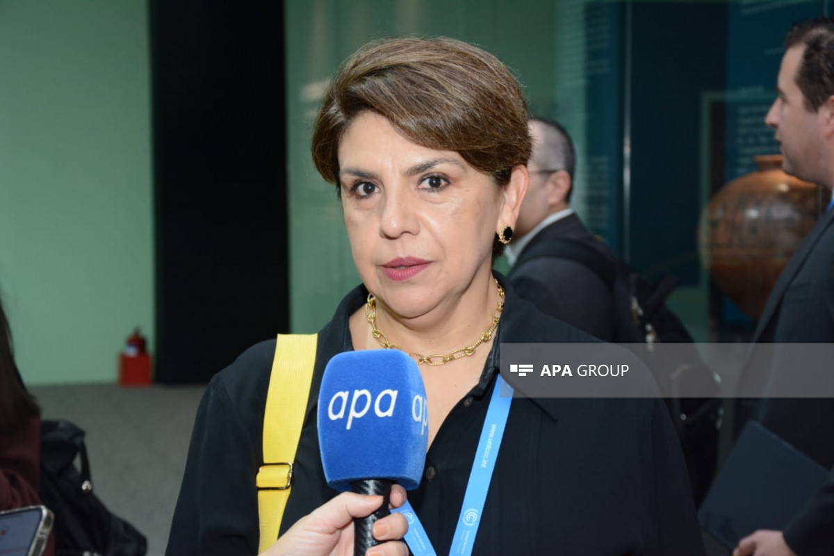 Meksikanı COP29-da kimlərin təmsil edəcəyi məlum olub