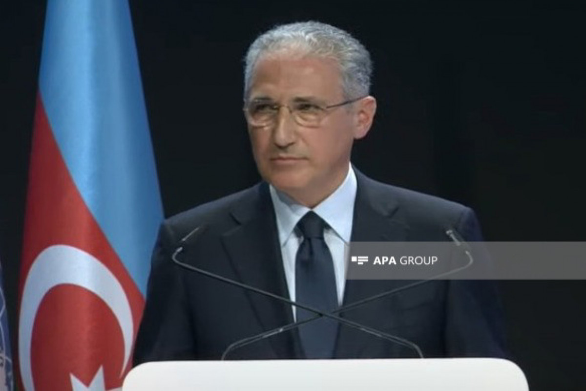 COP29-un Prezidenti ölkələri iqlim maliyyəsi üzrə məqsədlərə nail olmaq üçün səyləri birləşdirməyə çağırıb