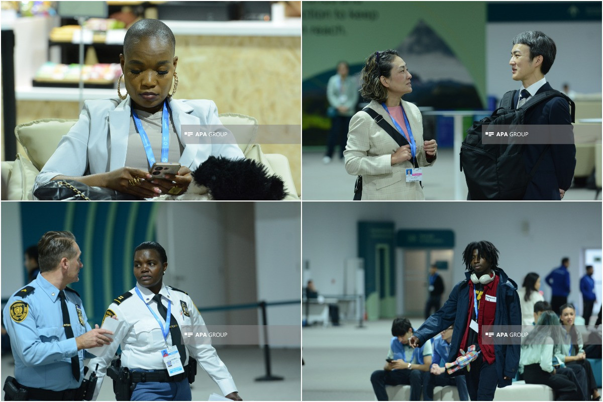 COP29-da dördüncü gün  - FOTO