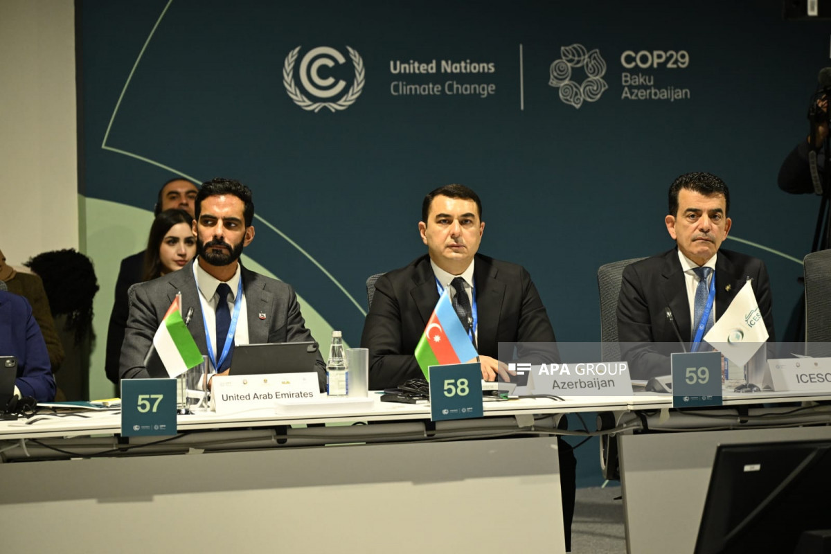 COP29-da Mədəniyyət əsaslı İqlim Fəaliyyəti sahəsində 2-ci Yüksək Səviyyəli Nazirlər Dialoqu keçirilib - FOTO