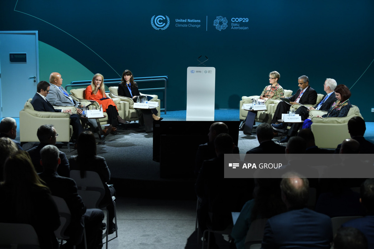 COP29 çərçivəsində İqlim Dayanıqlı Gələcək üçün İnsan İnkişafına İnvestisiya üzrə tədbir keçirilir - FOTO