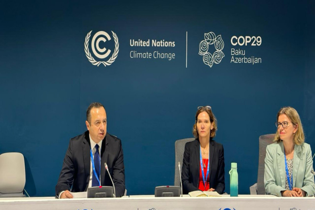 COP29-da ekoloji hüquq sahəsində məhkəmə təcrübəsi ilə bağlı panel keçirilib