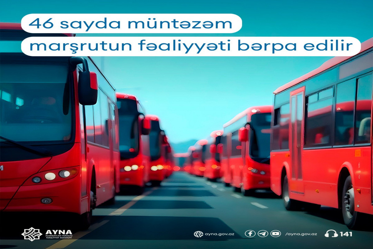 Bakıda daha 46 avtobus marşrutunun fəaliyyəti bərpa edilir