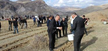 COP29 çərçivəsində Ordubadın Tivi kəndində meşəcinsli ağacların toxumlarının əkini aparılıb -FOTO