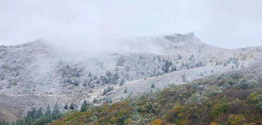 Havanın temperaturu 4-8 dərəcə enəcək, dağlarda qar yağacaq - XƏBƏRDARLIQ