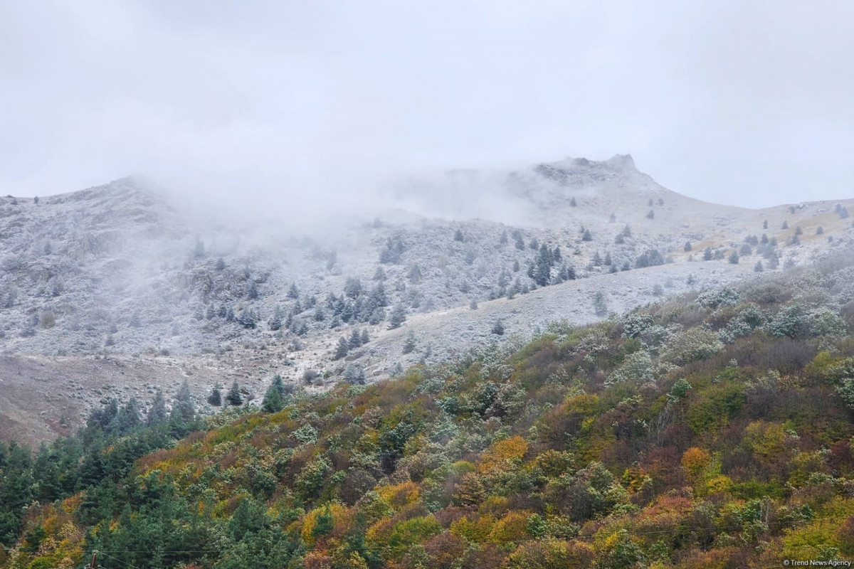 Havanın temperaturu 4-8 dərəcə enəcək, dağlarda qar yağacaq - XƏBƏRDARLIQ