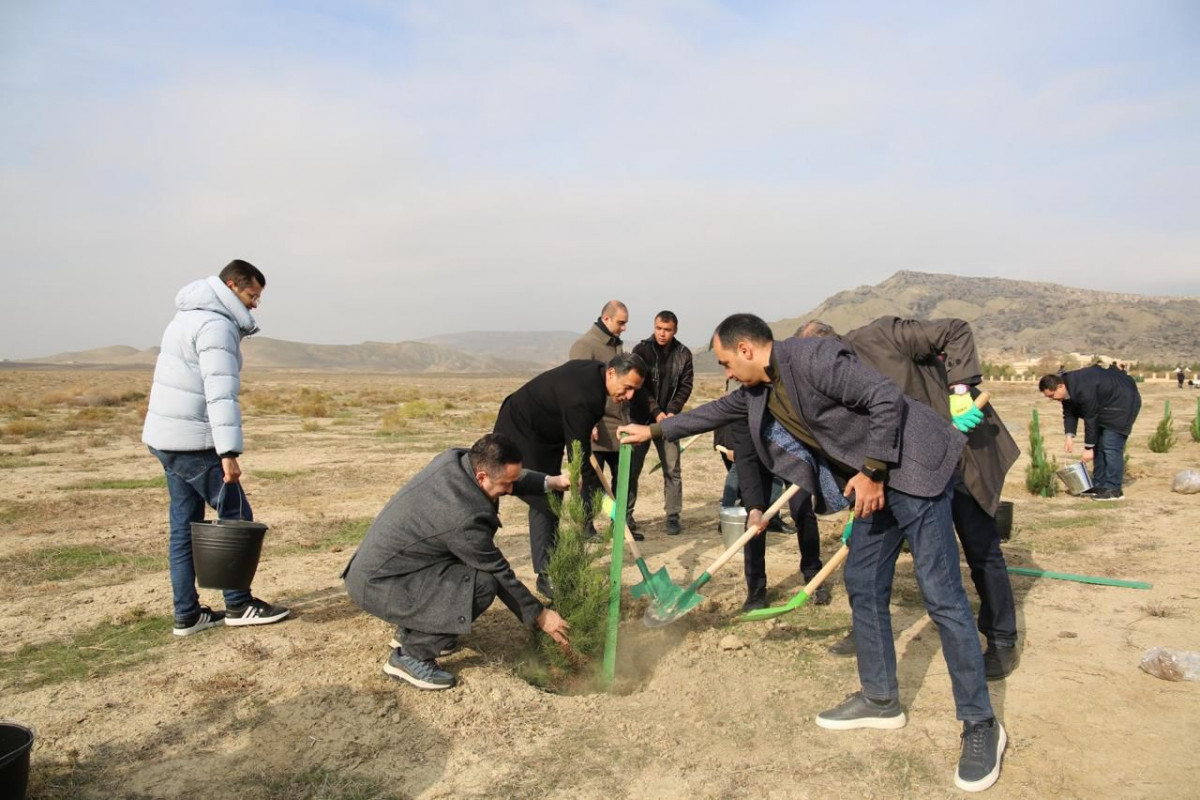 Mədəniyyət Nazirliyi Qobustan Milli Tarix-Bədii Qoruğunda yaşıllaşdırma aksiyası keçirib