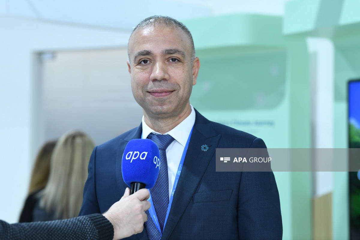 Nazir müavini: Son 10 ildə günəş panelləri 90%-dək ucuzlaşıb
