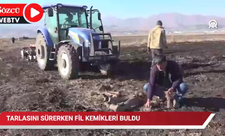 Kahramanmaraşda fil sümüyü tapılıb