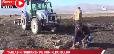 Kahramanmaraşda fil sümüyü tapılıb