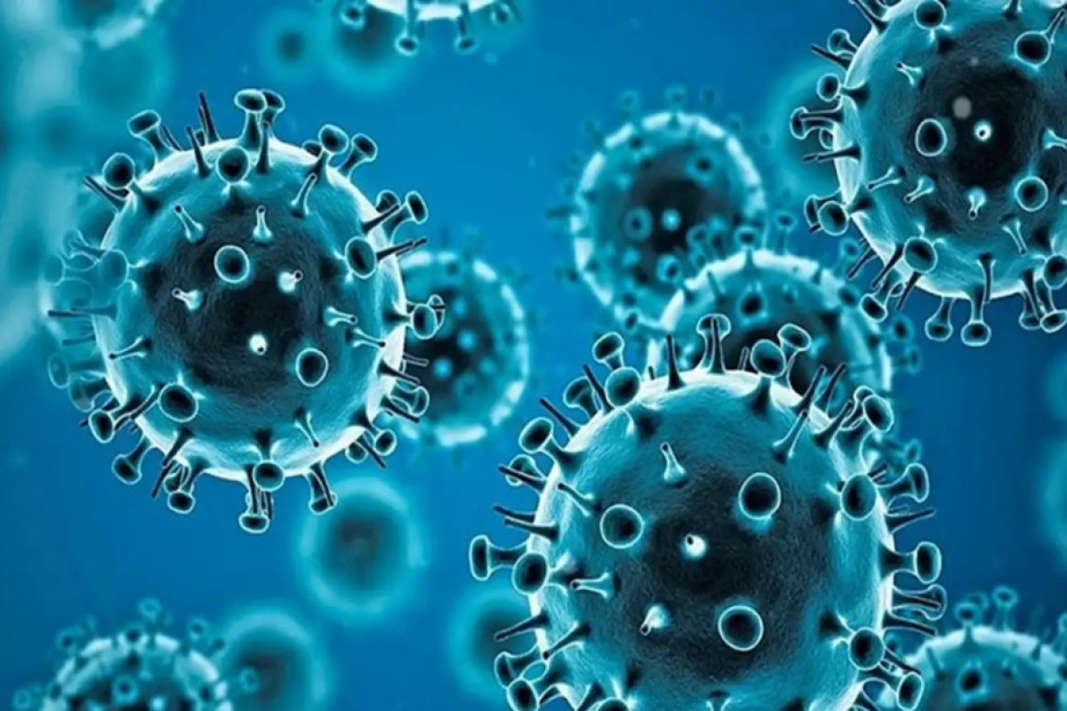 Qırğızıstanda metapnevmovirus infeksiyasına yoluxma halı qeydə alınıb