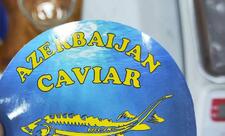 Çin və Rusiyadan idxal edilmiş kürülərin "Azerbaijan Caviar" adı ilə satışa çıxarıldığı aşkarlandı