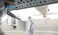 Vəhşi heyvanlar arasında quduzluq xəstəliyinə qarşı növbəti peyvəndləmə aparılır