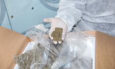 Vəhşi heyvanlar arasında quduzluq xəstəliyinə qarşı növbəti peyvəndləmə aparılır