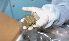 Vəhşi heyvanlar arasında quduzluq xəstəliyinə qarşı növbəti peyvəndləmə aparılır