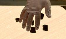 Vəhşi heyvanlar arasında quduzluq xəstəliyinə qarşı növbəti peyvəndləmə aparılır