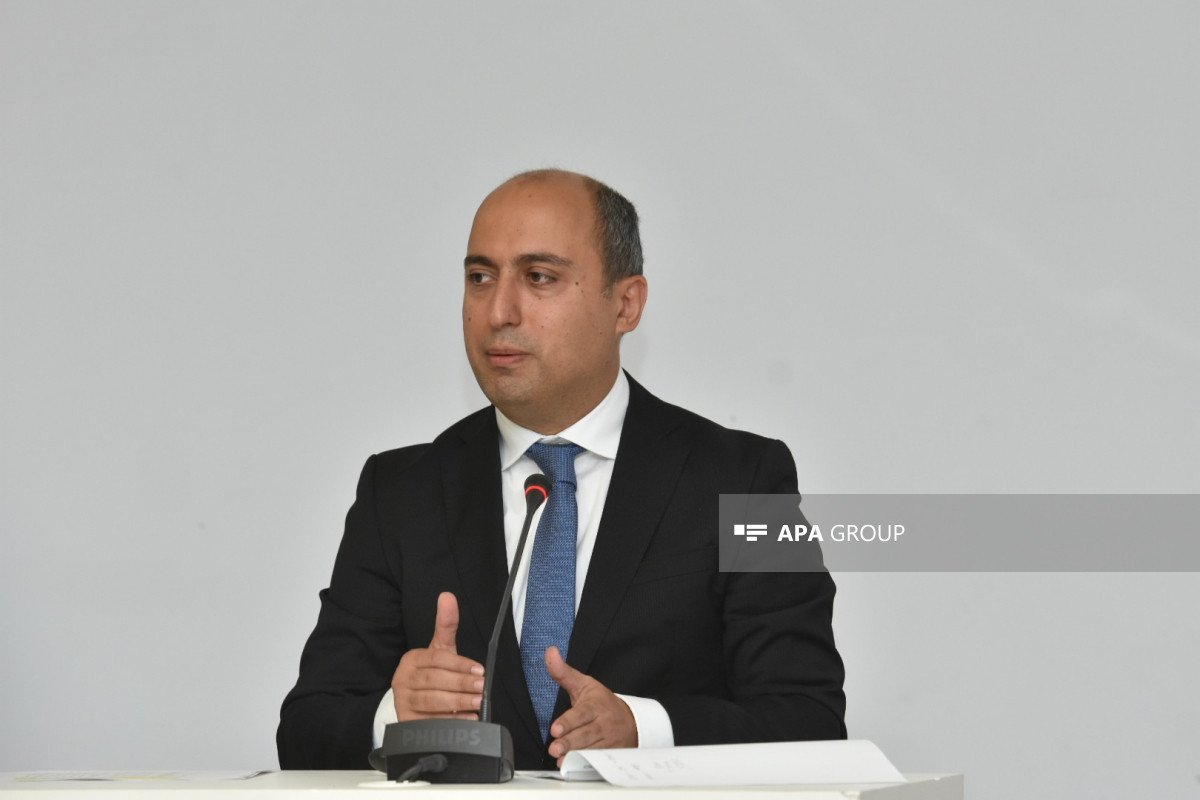Emin Əmrullayev: Qurumlara "universitet", "akademiya", "institut" adlarının verilməsinə yenidən baxmalıyıq