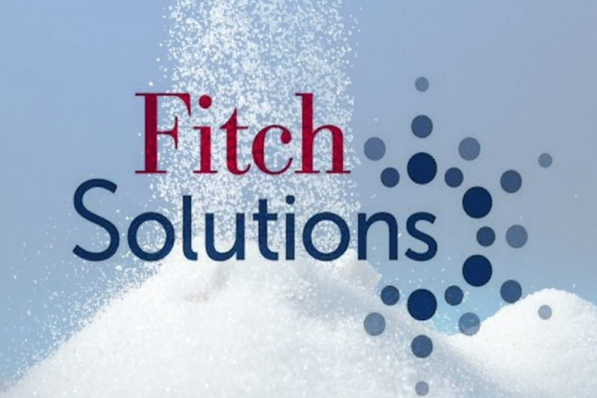 "Fitch Solutions” Azərbaycanın inflyasiya proqnozunu azaldıb