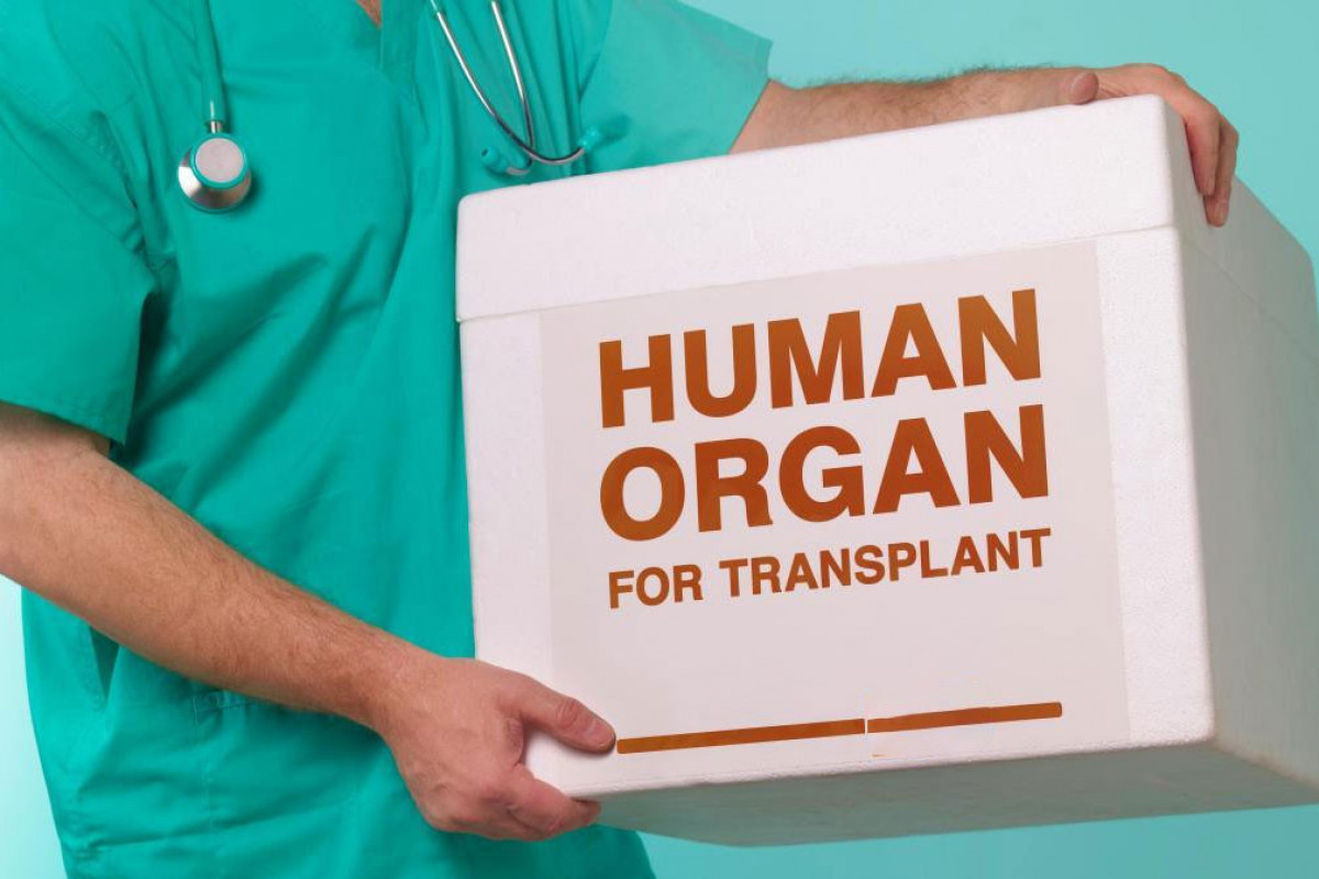 Azərbaycanda ilk dəfə meyit donorun orqanları transplantasiya edilib