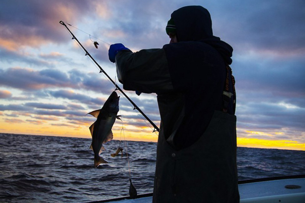 Bu gündən daxili su hövzələrində balıq ovu qadağan edilir
