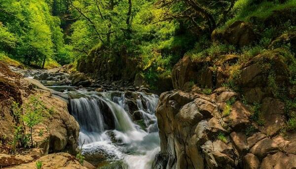 İstirahət günlərində milli parklarda hava necə olacaq?