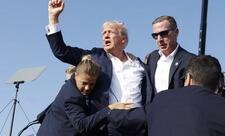Axmaq kimi davranmağa davam edin – Tramp