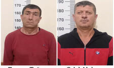 Yevlaxda 592 ədəd çətənə kolu əkən 2 nəfər saxlanılıb