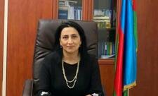 Türkdilli Dövlətlərin İqtisadçıları İctimai Birliyi həssas qruplardan olan qadınların məşğulluq problemlərini araşdıracaq