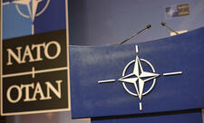 "NATO-Gürcüstan təlimi 2025" başa çatdı