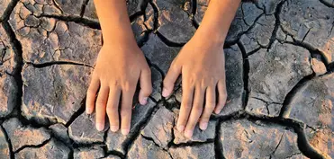 2020-ci ildə doğulan 100 milyon uşaq həyatı boyu həddindən artıq istilərə məruz qalacaq