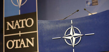 "NATO-Gürcüstan təlimi 2025" başa çatdı