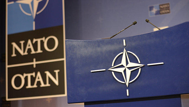"NATO-Gürcüstan təlimi 2025" başa çatdı