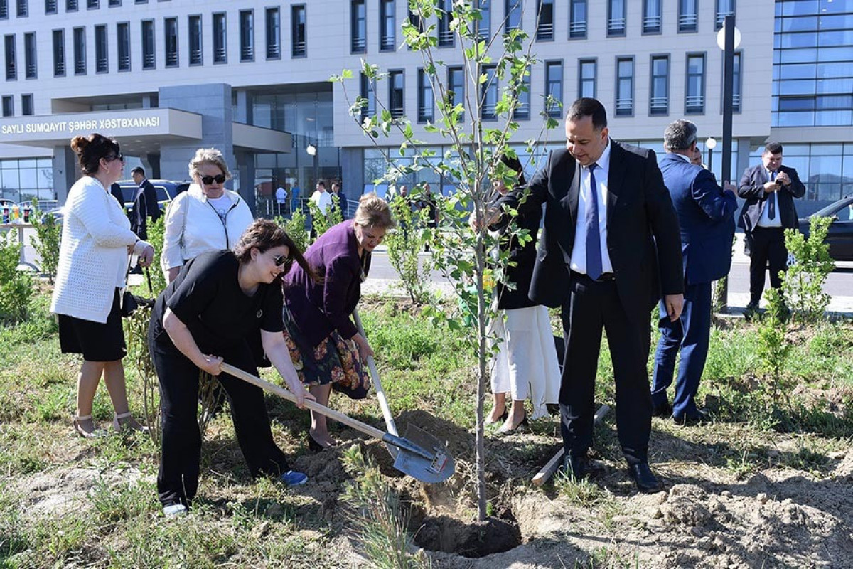 Sumqayıtda Ulu Öndərin anadan olmasının 102-ci ildönümü münasibətilə ağacəkmə aksiyaları keçirilib - FOTO