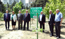 AMEA-da təmizlik və yaşıllaşdırma günləri davam edir