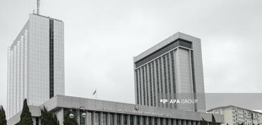 Ailə, Qadın və Uşaq Problemləri üzrə Dövlət Komitəsinin illik hesabatı parlamentə daxil olub