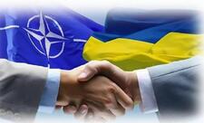 “NATO Ukraynaya pis xidmət göstərib”