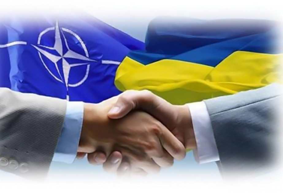 “NATO Ukraynaya pis xidmət göstərib”