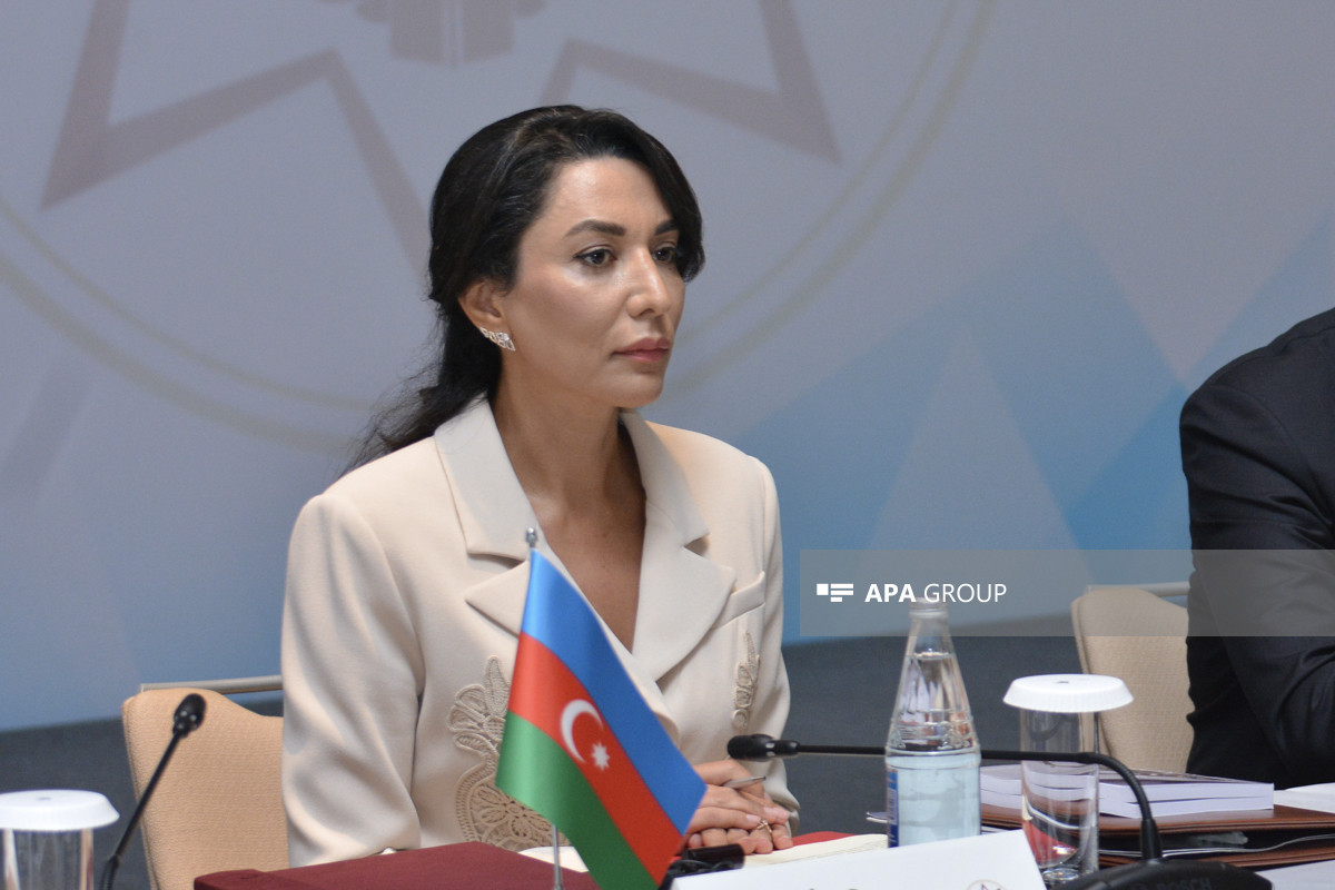 Ombudsman Qərbi azərbaycanlılarla bağlı BMT-nin Ali Komissarına məktub ünvanlayıb
