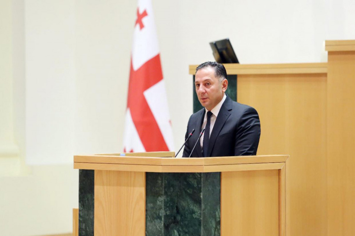 Gürcüstan daxili işlər naziri istefa verib
