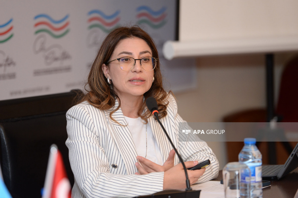 Damla Taşkın: Laçından verilmiş birlik mesajları geosiyasi təhdidlər fonunda çox vacibdir