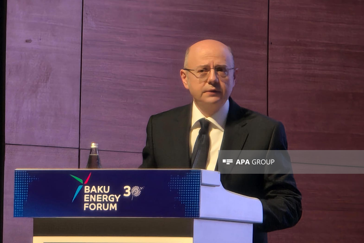 Nazir: Azərbaycan Aİ-yə boru kəmərilə nəql olunan qazın həcminə görə 7% payla dördüncü təchizatçıdır