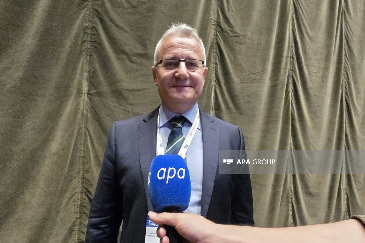 Nazir müavini: Serbiya Azərbaycan qazının qəbulunu artırmaq üçün yeni interkonnektor planlaşdırır