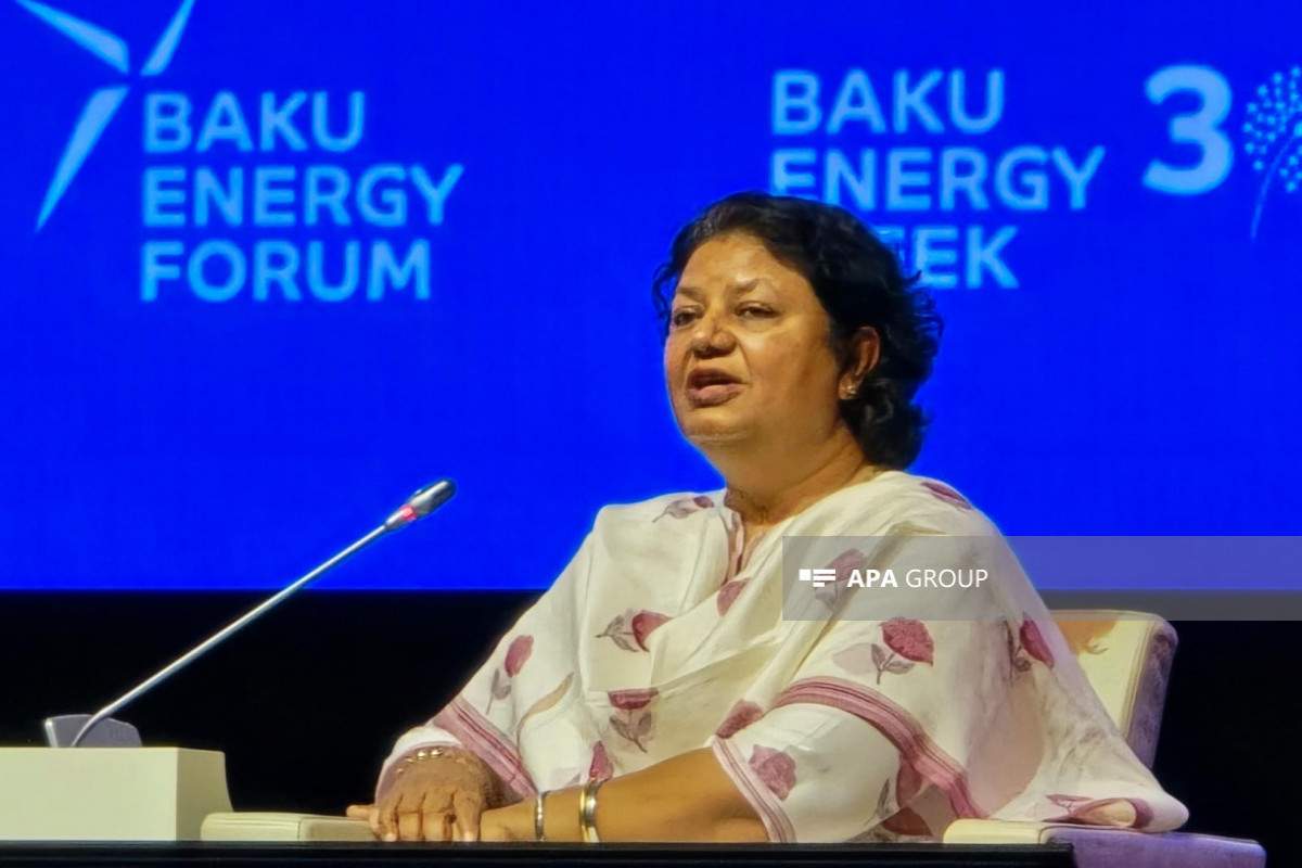 Qauri Sinqx: İnkişaf etməkdə olan ölkələrin bərpa olunan enerji sahəsində maliyyə problemi var