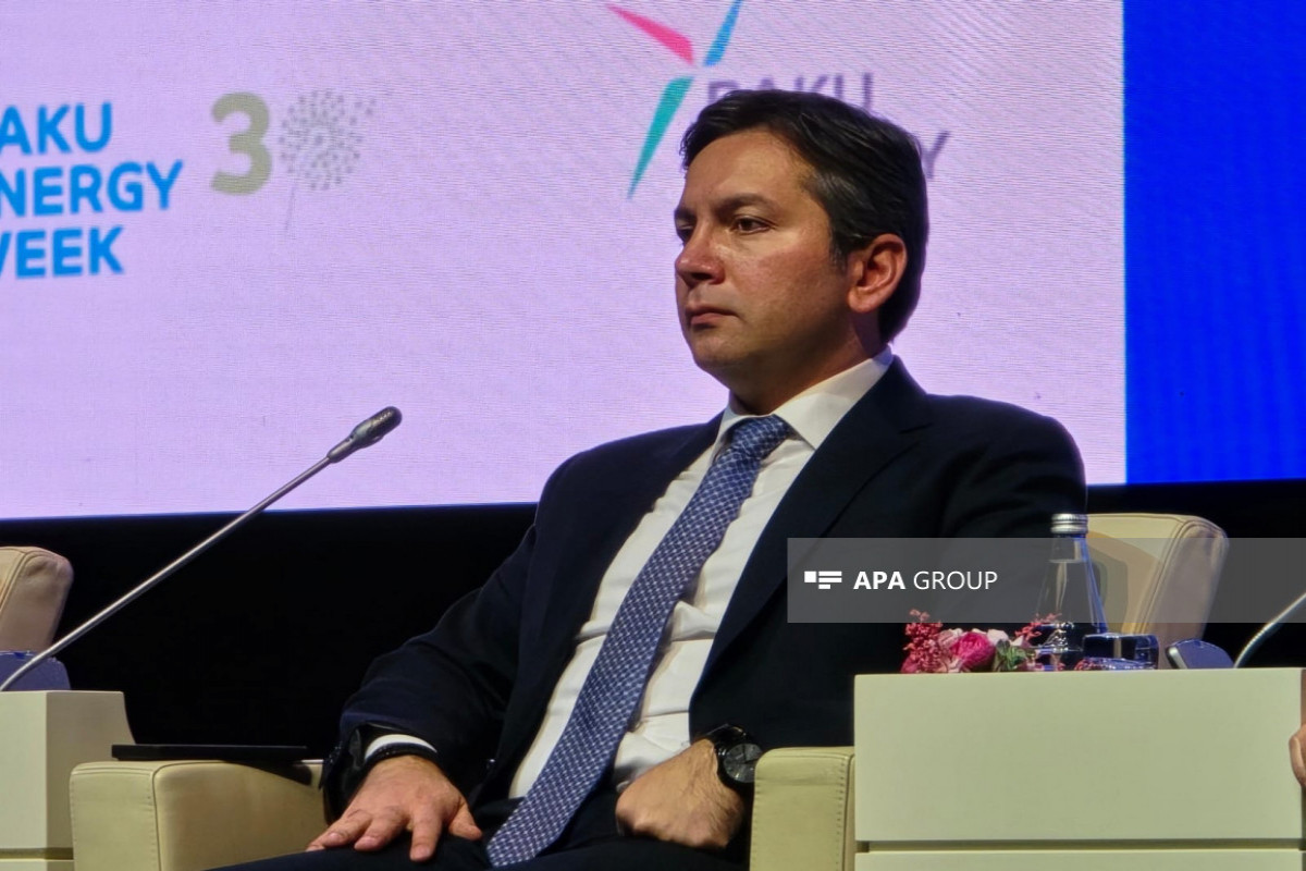 Yalçın Rəfiyev: COP29 nəticələrinə görə ən uğurlulardan hesab olunur