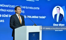 Nazir müavini: Çin şirkətləri ilə Qarabağda birgə layihələrin icrası hər iki tərəf üçün faydalı olar